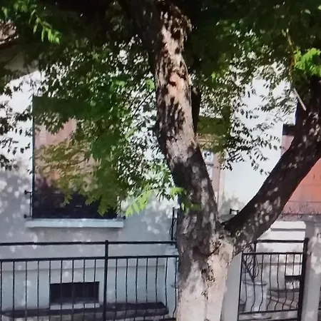 Larappart بيت شباب دْراسي